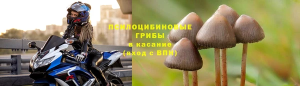 прущая мука Балабаново