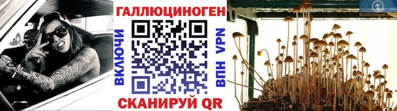 Галлюциногенные грибы Cubensis Вуктыл